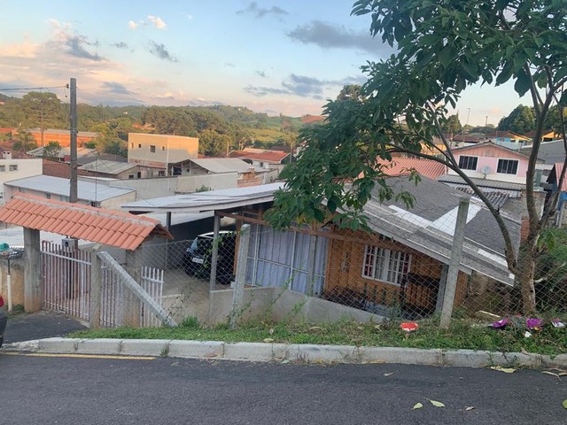 Foto - Campo Magro - 