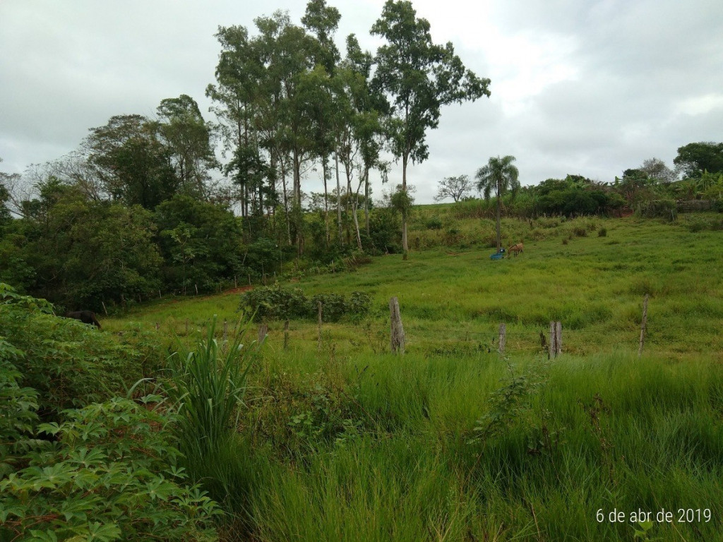 Foto - Cidade Gaúcha - NONE