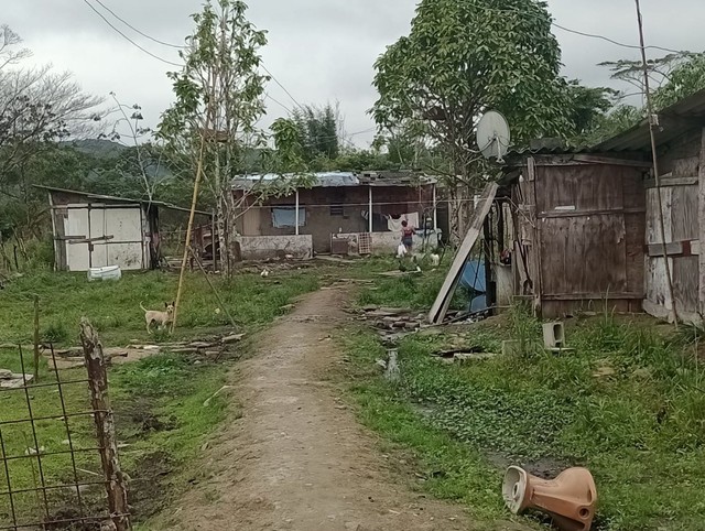 Terreno à venda, 1000m² - Foto 2