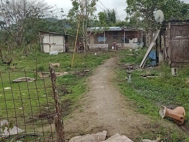 Terreno à venda, 1000m² - Foto 3