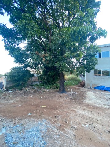 Foto - Belo Horizonte - Xangri-La