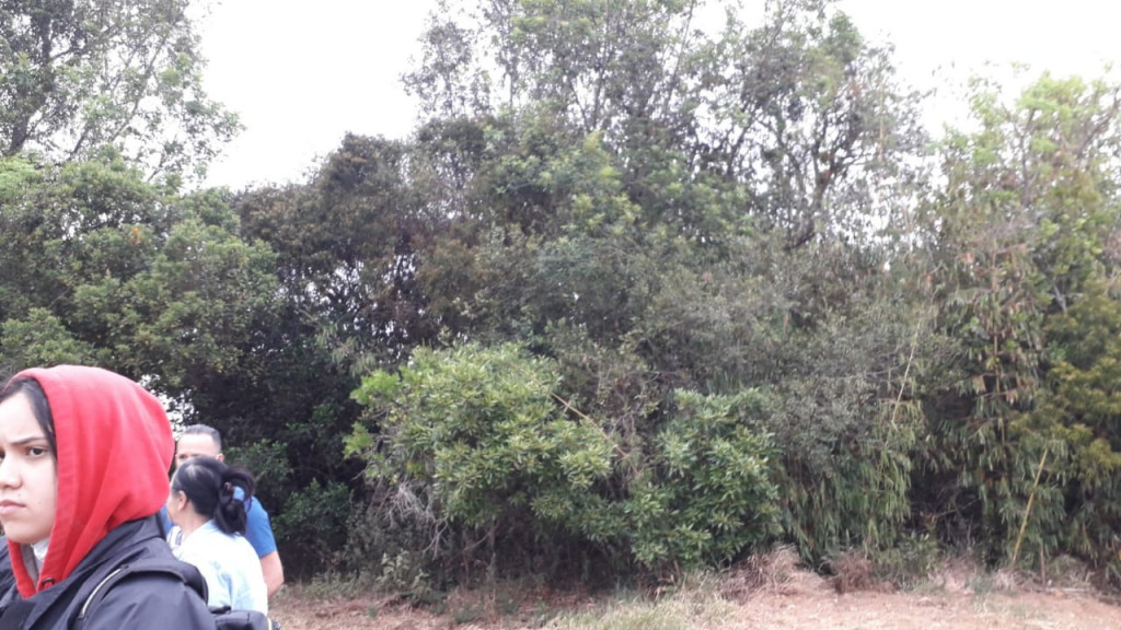 Captação de Terreno a venda na Rod. Pres. Castello Branco, km196, ninho verde 2, Pardinho, SP