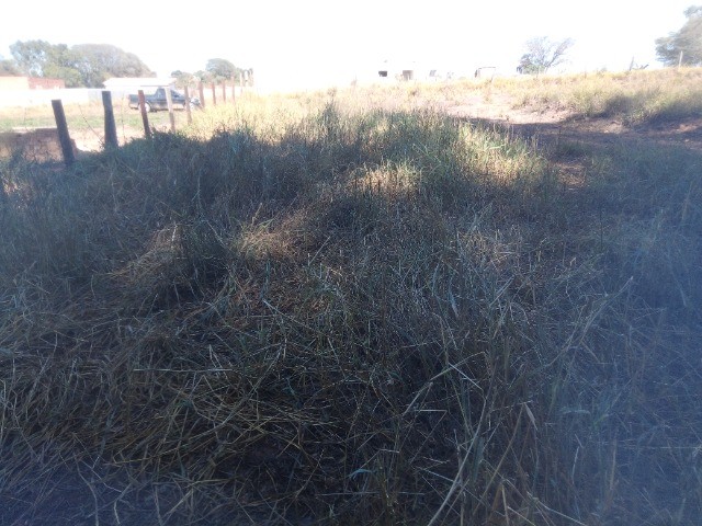 Foto - Salto de Pirapora - 