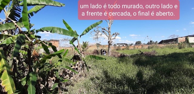 Foto - Japeri - Caramujos