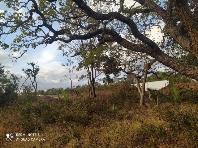 foto - Montes Claros - Monte Carmelo