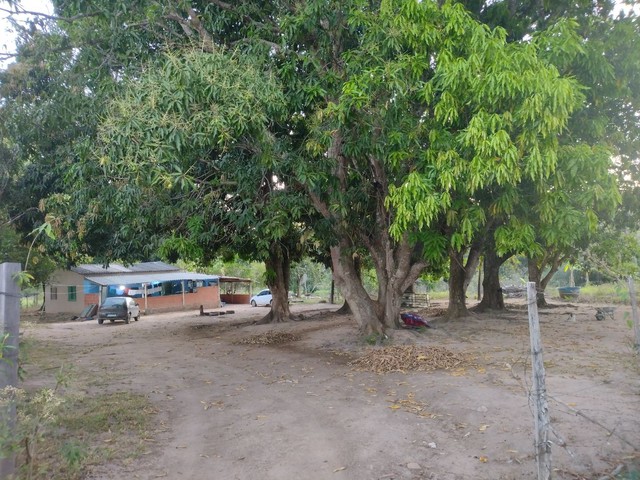 foto - Santo Antônio do Leverger - 