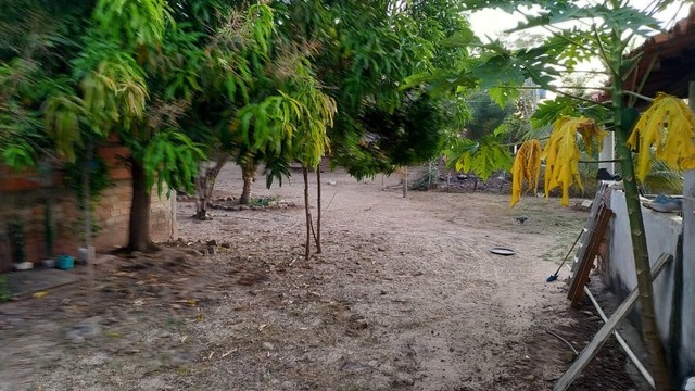 Foto - Demerval Lobão - 