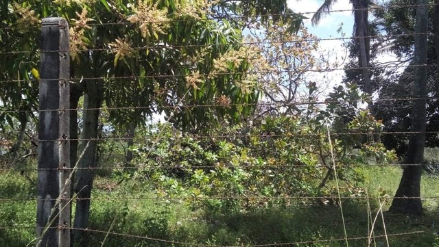 foto - Aracaju - Mosqueiro (Loteamento Santa Maria)