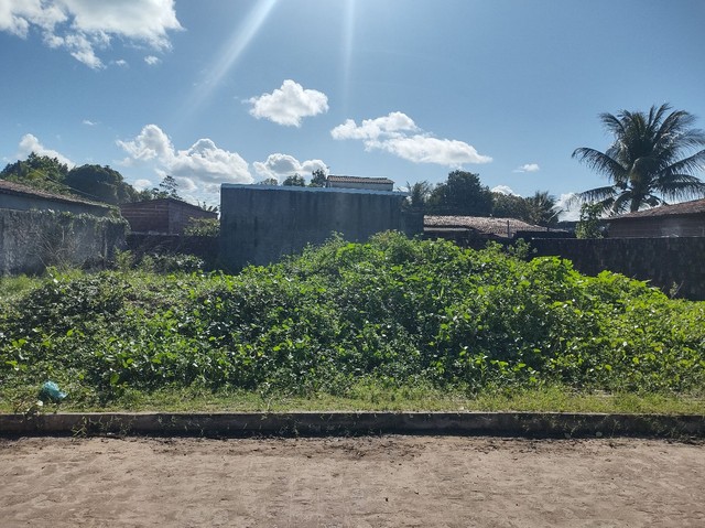 Foto - João Pessoa - Oitizeiro