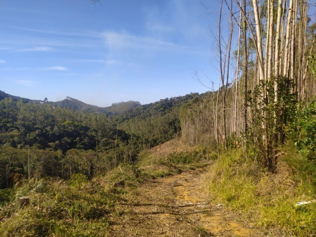 Foto - Alfredo Chaves - 