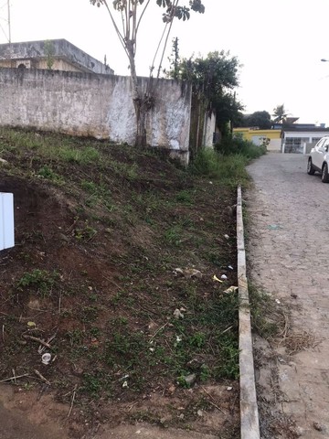 Foto - Nazaré da Mata - 