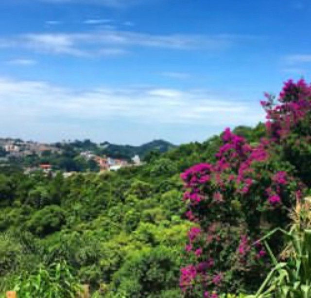 Foto - São Bento do Sul - Boehmerwald