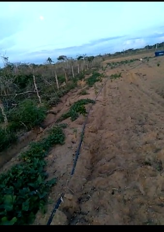 Foto - Barra do Choça - 