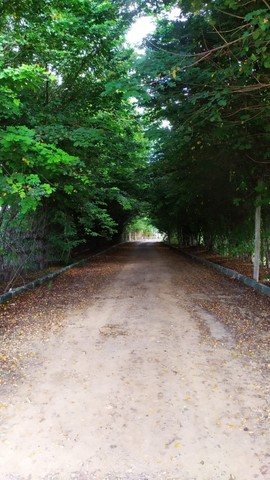 Foto - Coronel Fabriciano - Corrego Alto