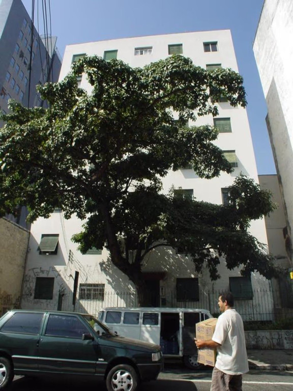 Foto - São Paulo - PINHEIROS