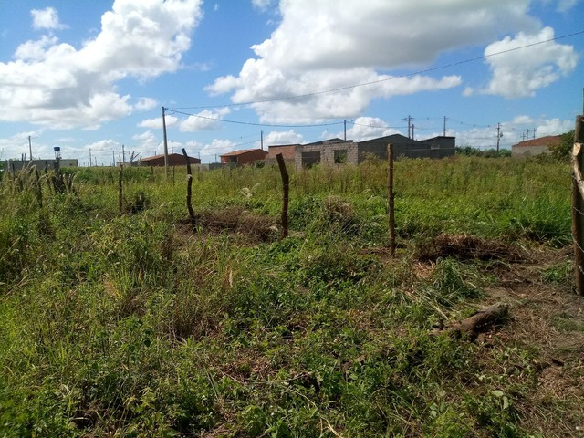 Foto - Teotônio Vilela - 