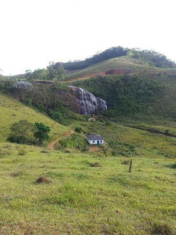 Foto - Faria Lemos - 