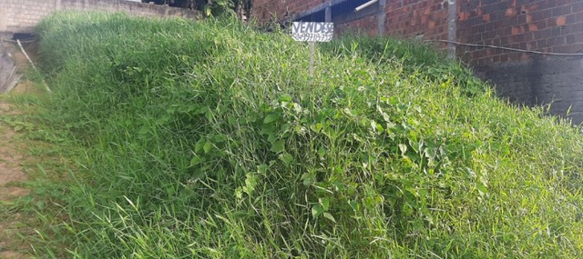 Foto - Jaboatão dos Guararapes - Floriano