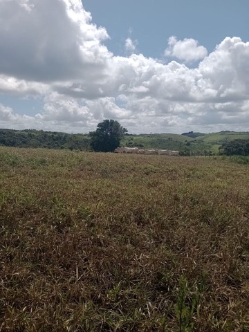 foto - Maceió - Benedito Bentes