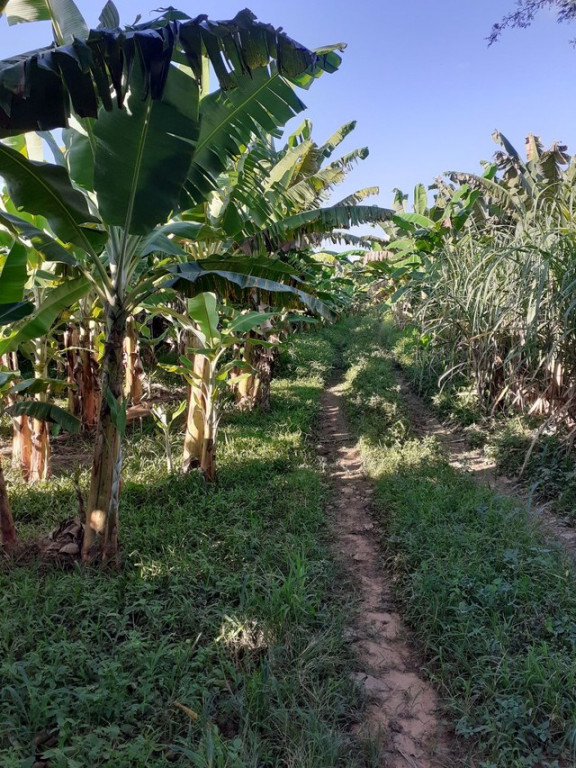 Foto - Missão Velha - 