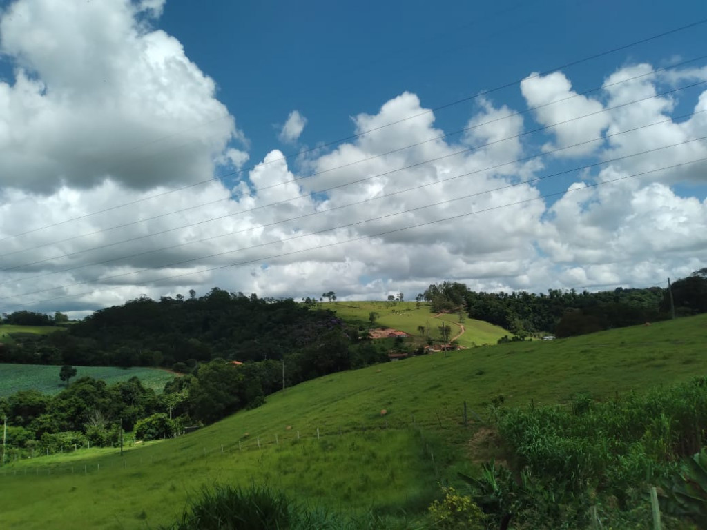 Fazenda à venda e aluguel - Foto 3