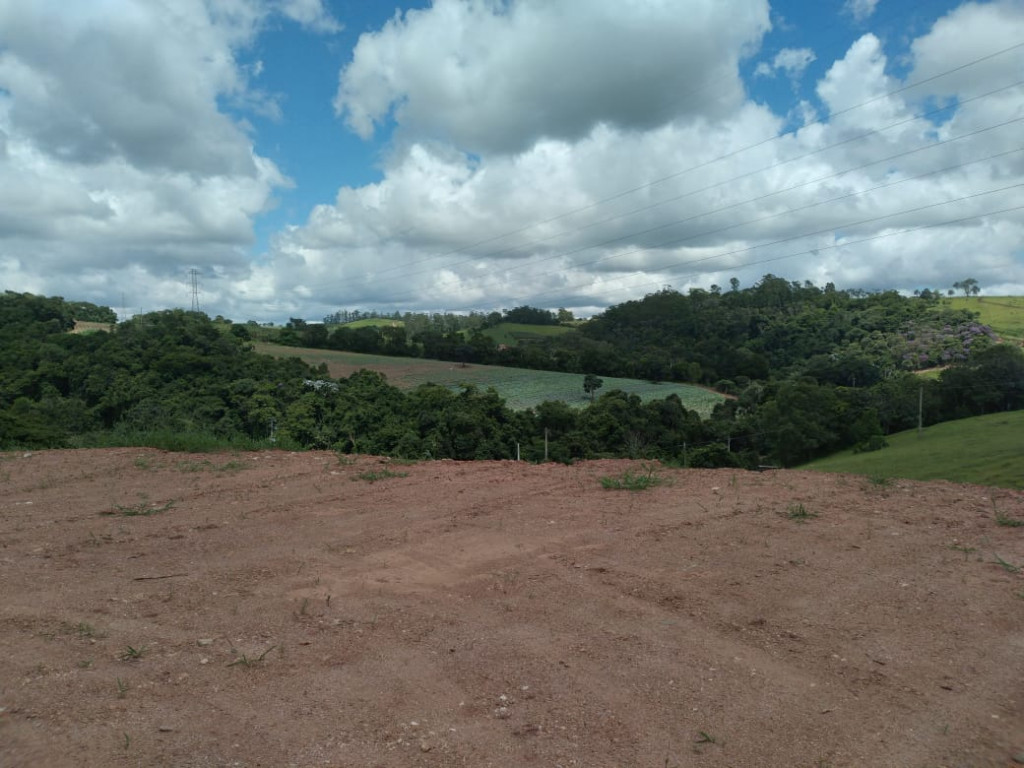 Fazenda à venda e aluguel - Foto 4