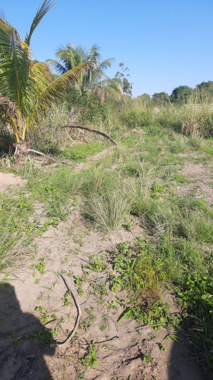 Foto - Seropédica - Campo Lindo