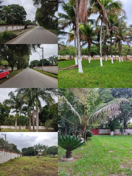 Foto - Duque de Caxias - Capivari