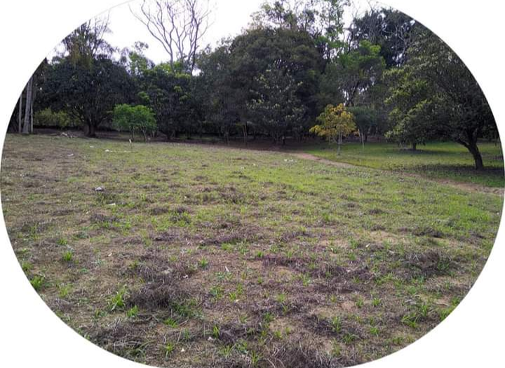 Terreno à venda, 1m² - Foto 2