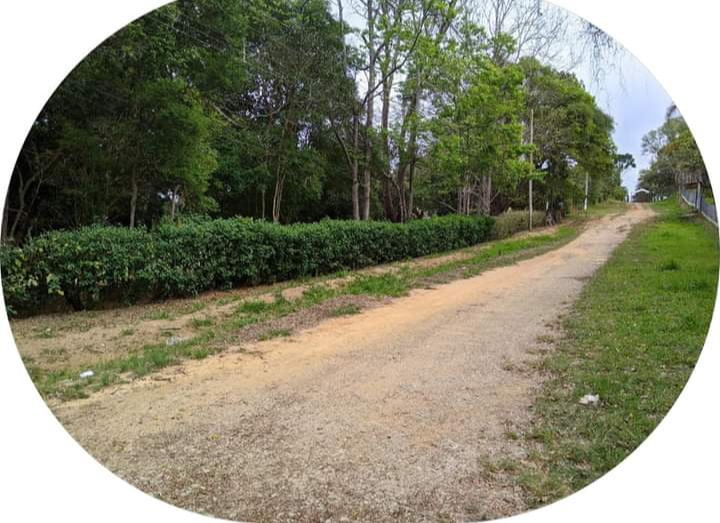 Terreno à venda, 1m² - Foto 3