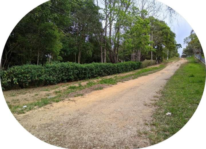 Captação de Terreno a venda na Centro, Sogo, Biritiba-Mirim, SP