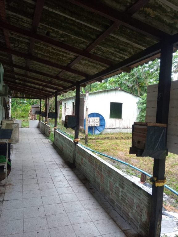 Captação de Sítio/Fazenda a venda na Ramal, Zona Rural, Rio Preto da Eva, AM