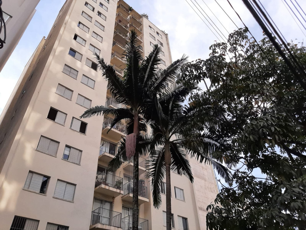 Foto - São Paulo - PERDIZES