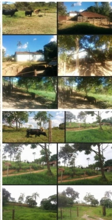 Captação de Sítio/Fazenda para venda ou locação na Estrada do Sape, Entrada da cidade  2km, Bambuí, MG