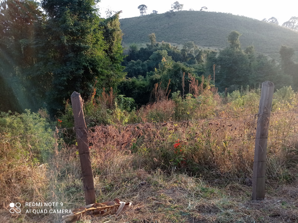 Terreno à venda, 1540m² - Foto 7