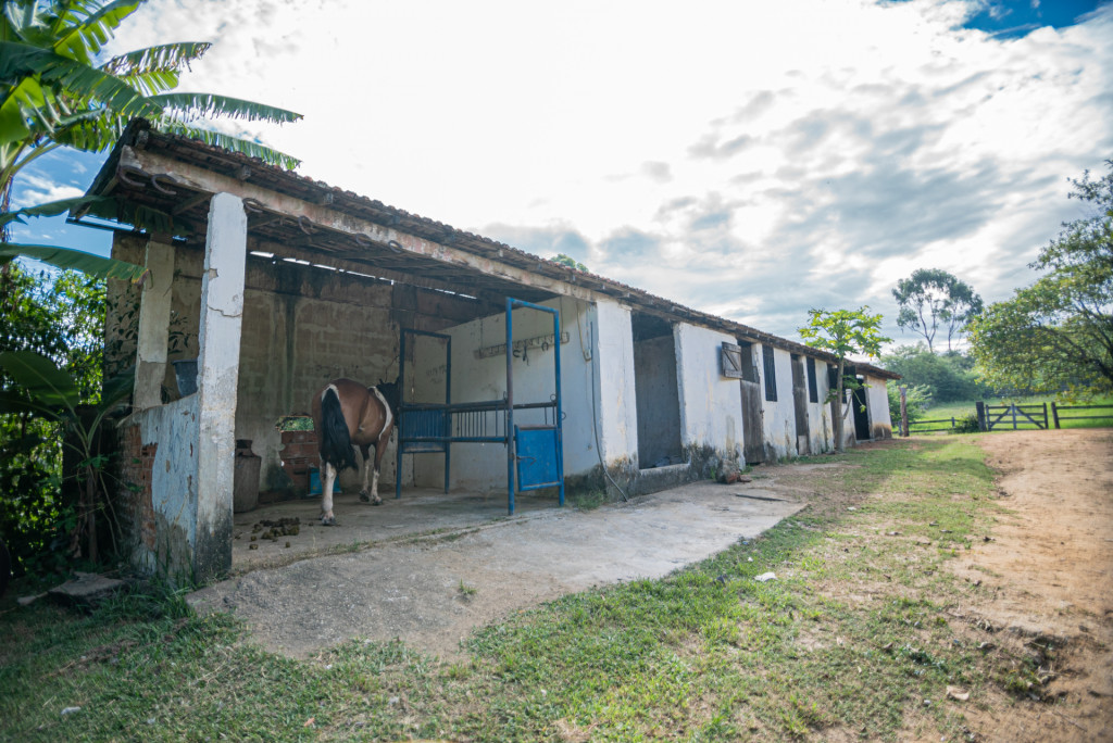 Captação de Sítio/Fazenda a venda na Rua Massâpe, Santa Cruz, Rio de Janeiro, RJ