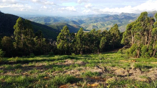 foto - Santa Teresa - 