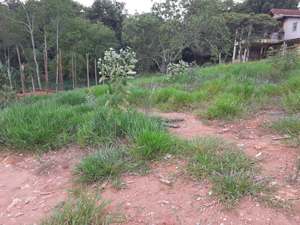 Captação de Terreno a venda na Rua Palmas, Chácaras Fernão Dias, Atibaia, SP