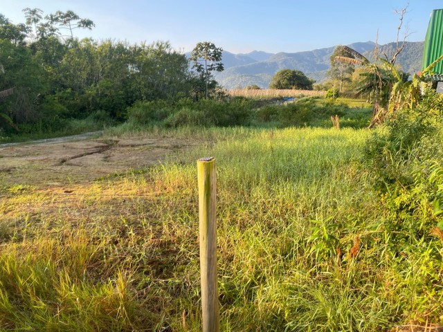 Foto - Santo Amaro da Imperatriz - 