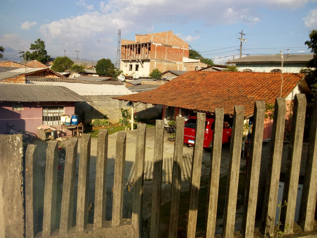 foto - Araucária - Boqueirão