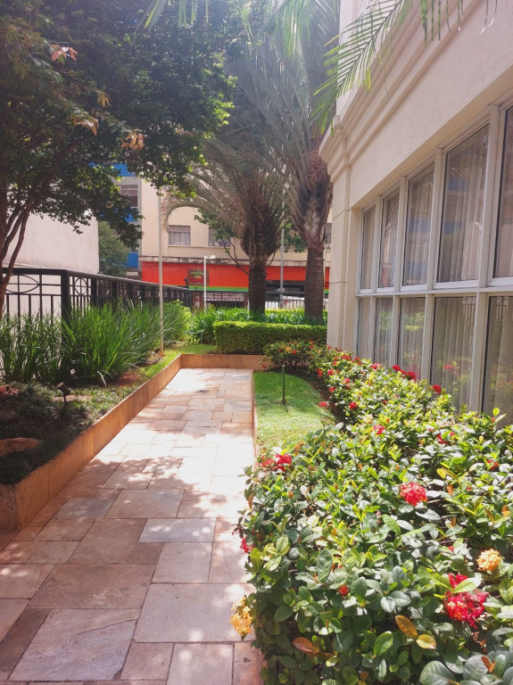 Foto - São Paulo - SANTA CECILIA
