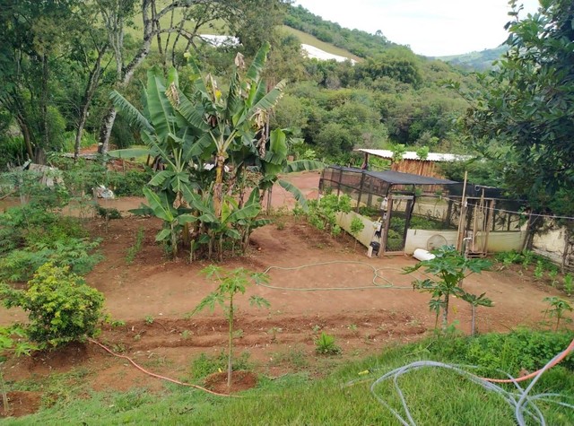 Foto - Borda da Mata - 