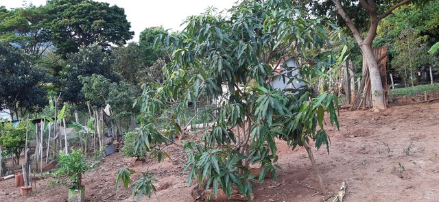 Foto - Itajubá - Santo Antonio