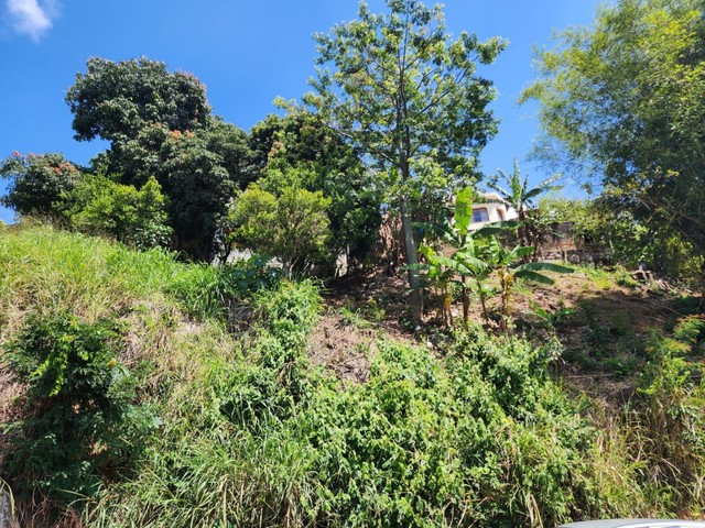 Foto - Serra Negra - 