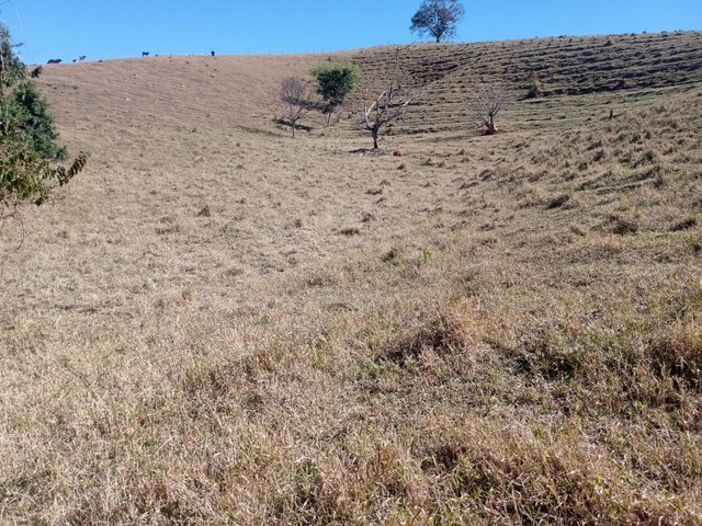 Foto - Inconfidentes - 