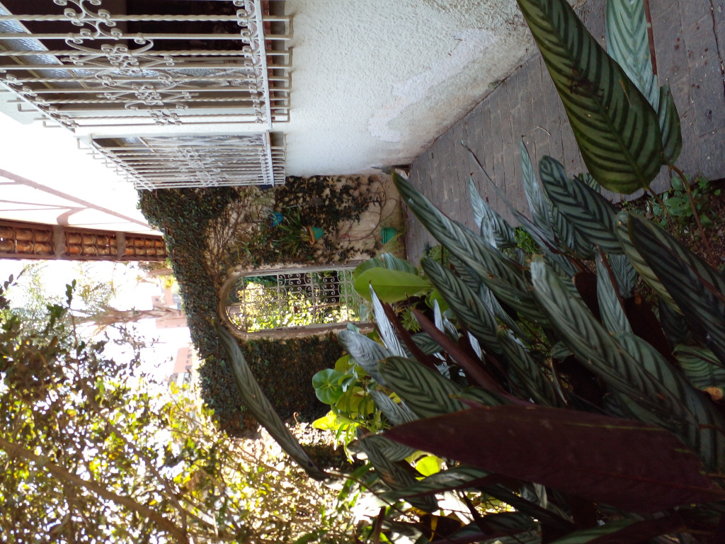 Captação de Casa a venda na Rua dos Miranhas, Vila Madalena, São Paulo, SP