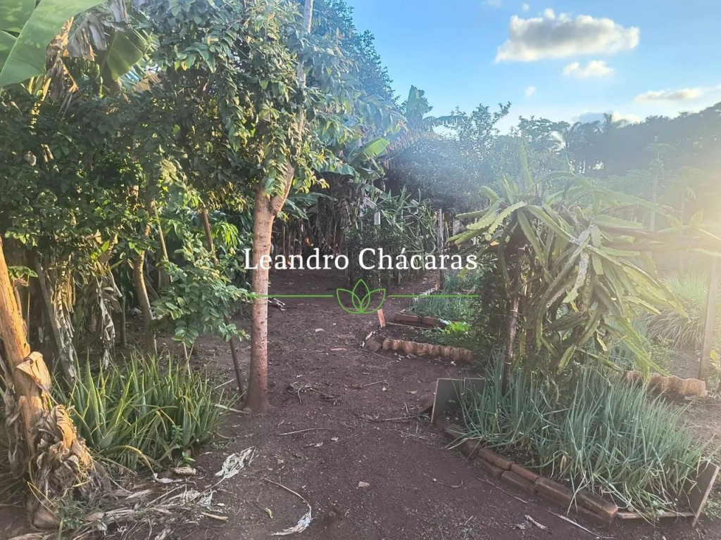 Foto - Ribeirão Preto - Jardim Irajá