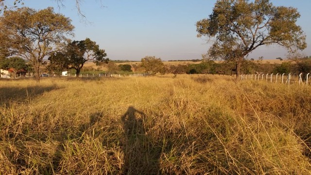 foto - Uberlândia - Tocantins