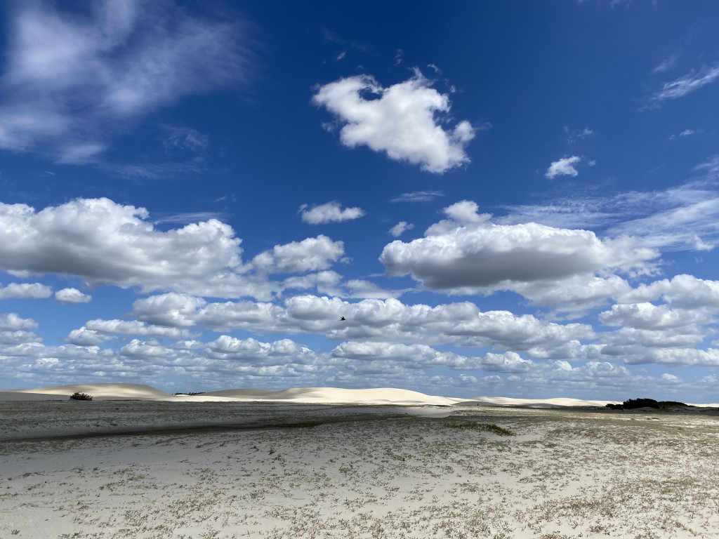 Terreno à venda, 80000m² - Foto 5