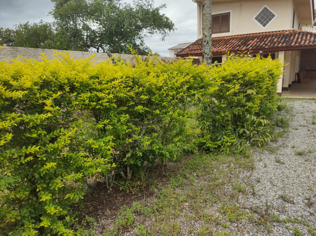 Casa à venda com 4 quartos, 120m² - Foto 1